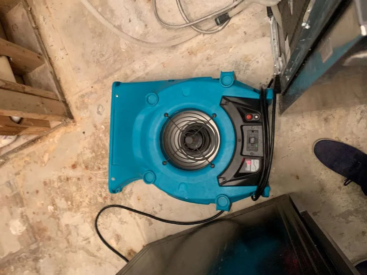 Air mover drying equipment for Mold Remediation & Removal in Poplar Grove